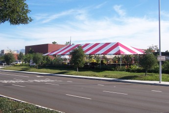 30' x 80' Red and White Standard Series Frame Tent